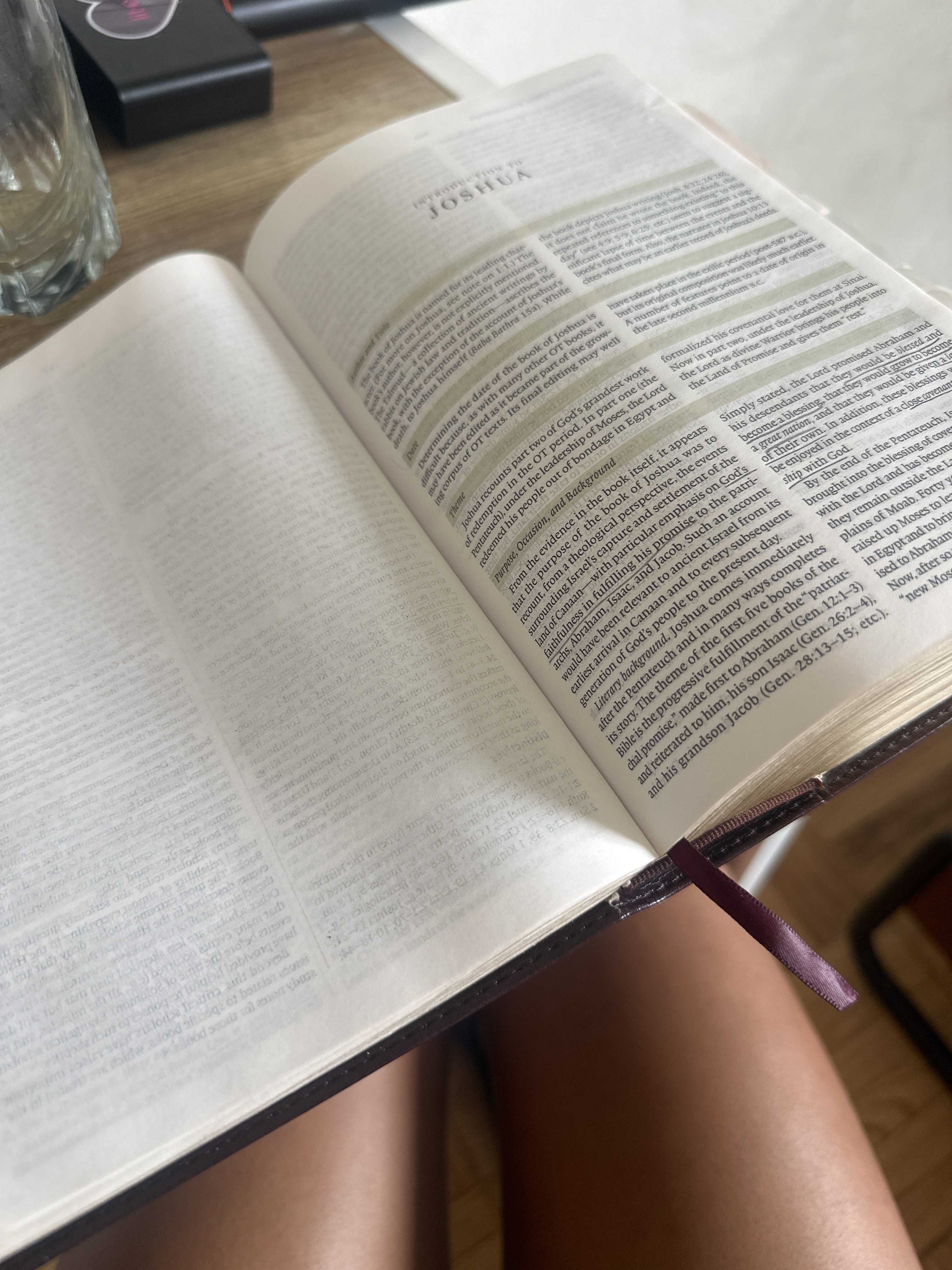 Finished Joshua: A Reading Guide